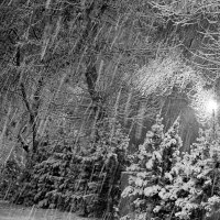 «Зима. Ночь. Идёт снег» :: Александр NIK-UZ