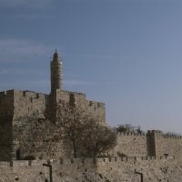 Jerusalem.Bashia Davida. :: susanna vasershtein