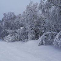 зима 2014 :: валерий телепов