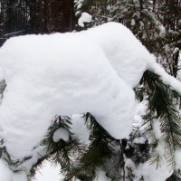 Снежный слоник :: Нина Дедова 