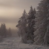 туманное утро :: Galina Kolomenskaya 