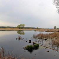 На озере. :: Владимир Бекетов