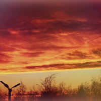 Утреннее небо зимой :: Анастасия Macintosh