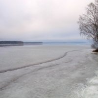 Весна зимой. :: Алексей Сараев