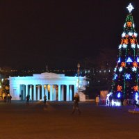 Графская  пристань  и  городская  елка :: Елена Залерцева