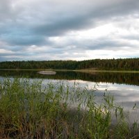 Перламутр :: Наталья Лунева 