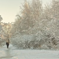 Завтра была зима :: равил митюков