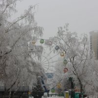 Городской парк :: Светлана Попкова