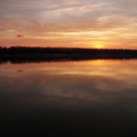 Темная вода ... :: Алексей Салло