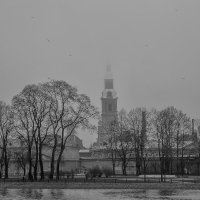 Туманное утро :: Табаско Перчик