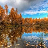 Осень :: Nikita Volkov