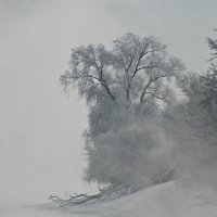 Туман над Москвой рекой :: Olenka 