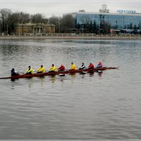 Водомерка. :: Евгений К