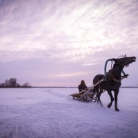 Встреча на лыжне :: Денис Соломахин