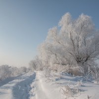 Утренняя свежесть :: Олег Самотохин