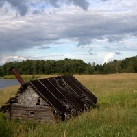 В деревне :: виктория Скрыльникова