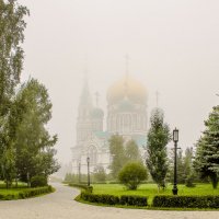 Летний туман. :: Дмитрий Климов