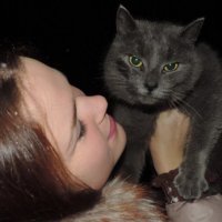 Серый котик! :: Ирина Василевская