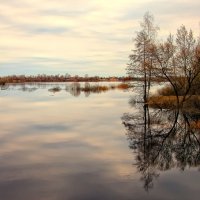 Весенний пейзаж :: Марина Назарова