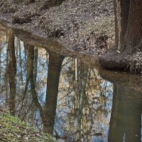 А вокруг небесной просини синь-бирюза... :: Дарья Казбанова