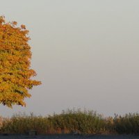 Вид :: Владимир Гилясев