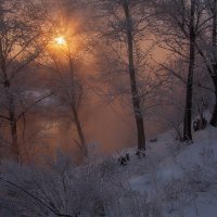 Солнечный свет :: Олег Самотохин