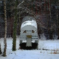 Зима в парке :: Георгий Столяров
