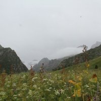 гора Шалтау, высота 3тыс. метров :: Алтынбек Картабай
