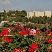 Вид на Иерусалим с площадки университета :: Алла Шапошникова