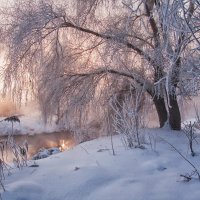 Утреннее затишье :: Олег Самотохин