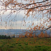 Последние краски :: Мария Парамонова