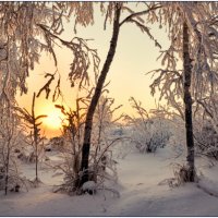 Самая настоящая зима :: Василий Хорошев