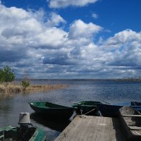 Просторы Подмосковья...Охотничьи радости.. :: Александр Шмалёв