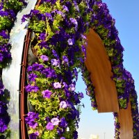 Dubai Miracle Garden :: Руслан Безхлебняк