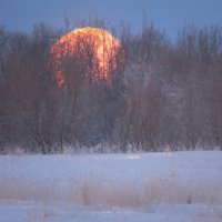 Морозное утро,закат луны. :: Юлия Лохова