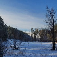 Футболисты  отдыхают. :: Владимир Михайлович Дадочкин