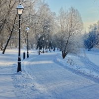 в царицынском парке :: Александр Шурпаков