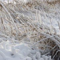 Зимняя зарисовка :: Анатолий Тимофеев