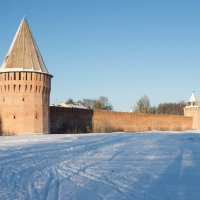 Смоленская крепостная стена :: Олег Козлов