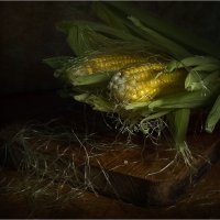 Про кукурузу :: Lev Serdiukov