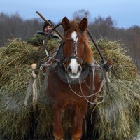 Деревенская жизнь :: Weskym Markova