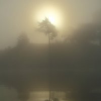 туман на Ладожском озере :: Weskym Markova