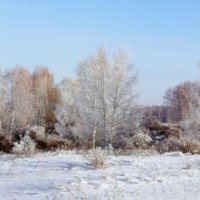 В зимнем наряде :: Виктор Ковчин