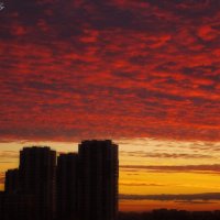 рассвет :: Life under the Sky