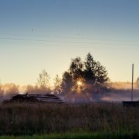 солнечный паук :: Артём Толокнов