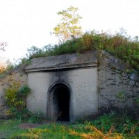 Заброшенный форт Поспелова :: Тая Лемур