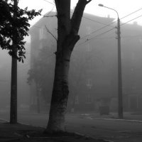 Fog :: metal face doom