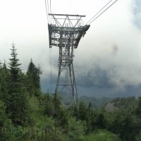 Grouse Mountain :: Елена Мазурок