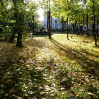 Солнце в парке :: Екатерина Тумовская