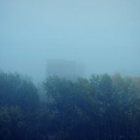 Alone in the mist :: Never Forever